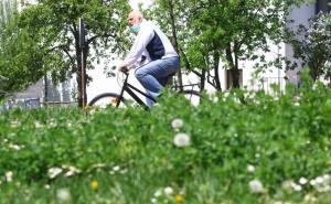 Federalna vlast poslala saopćenje: Koji su dani neradni za prvomajske praznike