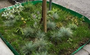 Apsurd: Posadila cvijeće na mjestu gdje je bilo smeće, sad mora platiti kaznu