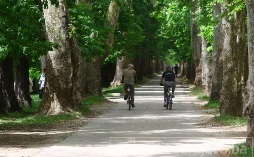 Velika aleja na Ilidži: Bijeg od gradske vreve i uživanje u zelenilu