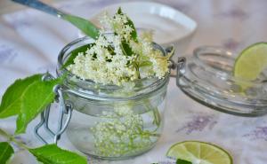 Miris proljeća: Domaći recept za sok od zove