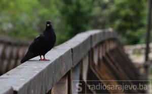 U Sarajevu jutros 8 stepeni: Objavljena prognoza za dane vikenda - evo kad će kiša