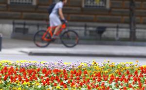 Prošetali smo Sarajevom: Pogledajte šta se dešava u centru gradu 