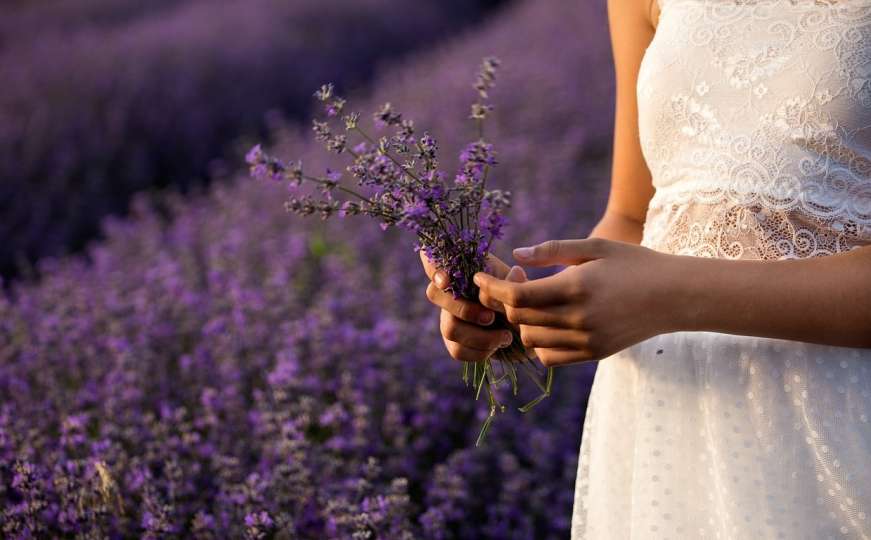 Osvježenje doma: Lavanda donosi mir i blagostanje