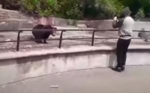 Bizaran prizor u Poljskoj: Mladić i medvjed se potukli u zoološkom vrtu