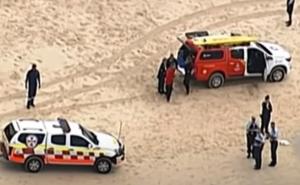 Plaže odmah zatvorene: Tri metra duga bijela morska psina ubila surfera