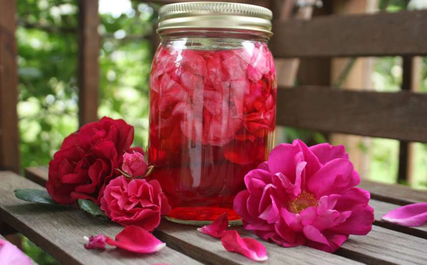 Recepti naših starih: Napravite mirisni i zdravi sok od ruže