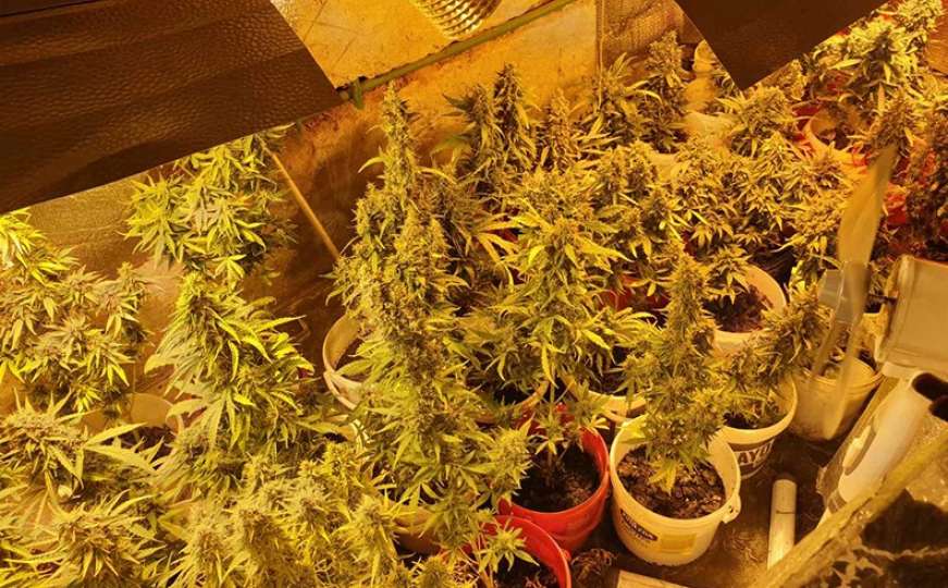 Ovako je Bosanac prostoriju u kući opremio za uzgoj marihuane
