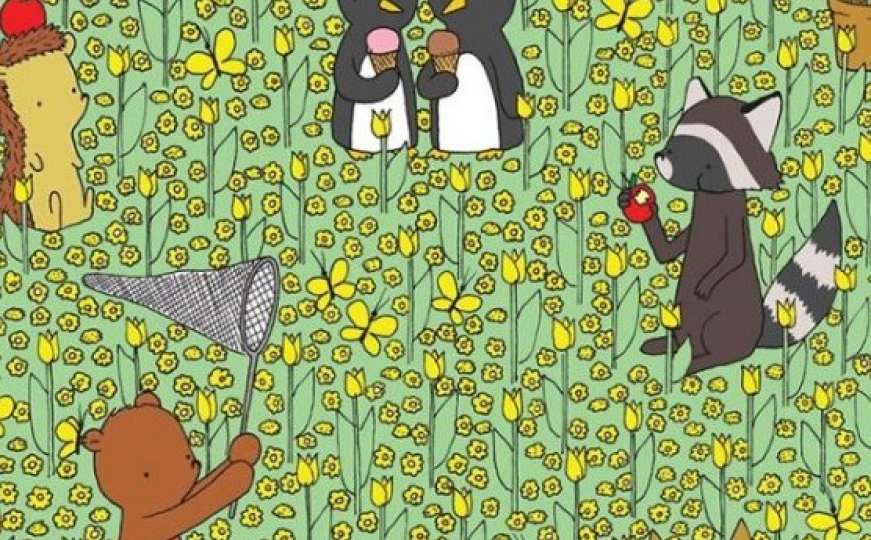 Nije lako: Čik pronađite pčelu među ovim cvijećem