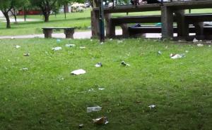 Ruglo na Alipašinom Polju: "Djeca nam se igraju u smeću"