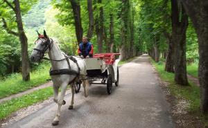 Velika Aleja i Vrelo Bosne: Žubor vode i cvrkut ptica remete tek rijetki šetači