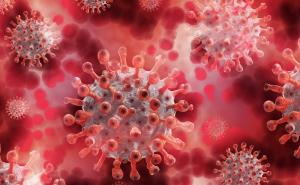 U Srbiji broj umrlih i zaraženih znatno veći od zvaničnih rezultata!