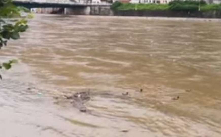 Poplava u još jednom bh. gradu: Smeće i patke u nabujaloj Bosni