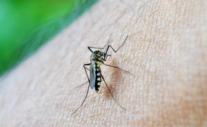 Isprobajte odličan trik koji će otjerati komarce