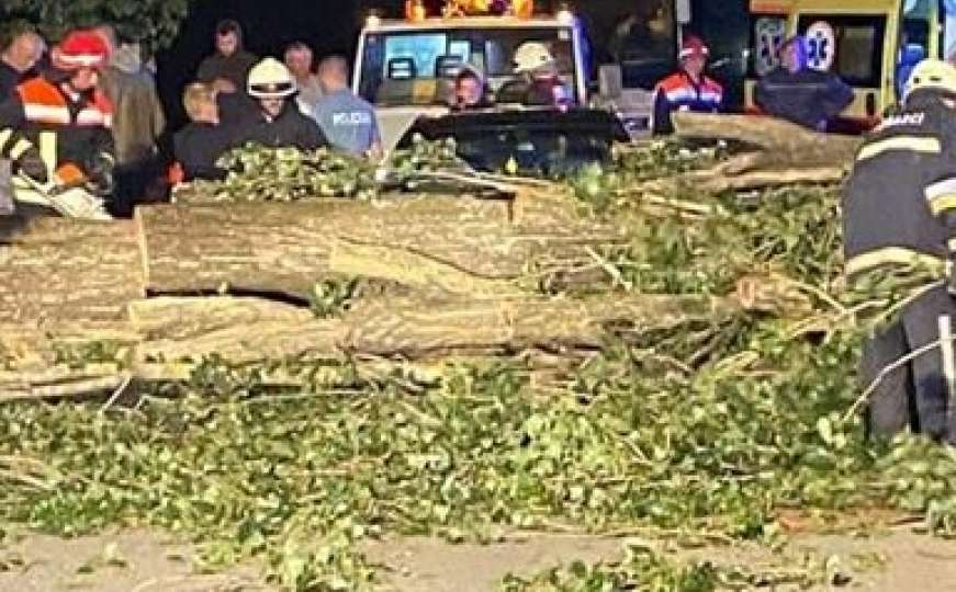 Oluja u Zagrebu i okolini rušila stabla i lomila dijelove krovova