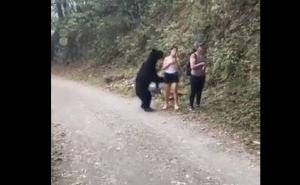 Medvjed prišao turistima: Pogledajte kako je prošao opasni susret 