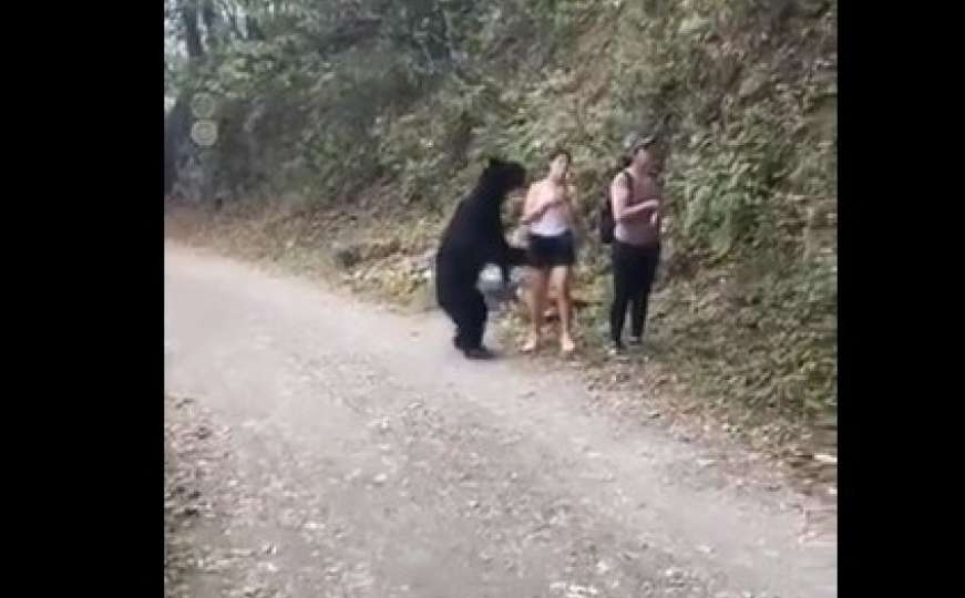 Medvjed prišao turistima: Pogledajte kako je prošao opasni susret 