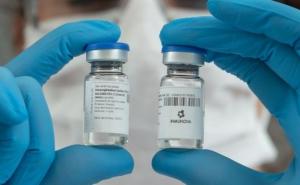 Argentina: Počela ispitivanja lijeka za COVID iz - konjskog seruma