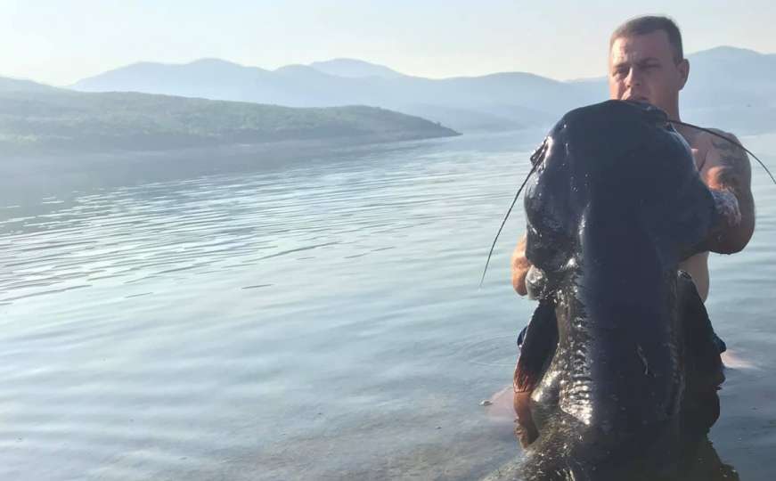 Rekordan ulov ribolovca: Pogledajte kolike nemani žive u jezeru u BiH 