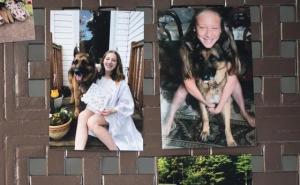 Uginuo Buddy, prvi pas kojem je potvrđen COVID u SAD-u