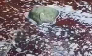 Prizor šokirao Sarajlije: Nahorevskim potokom teče kurbanska krv