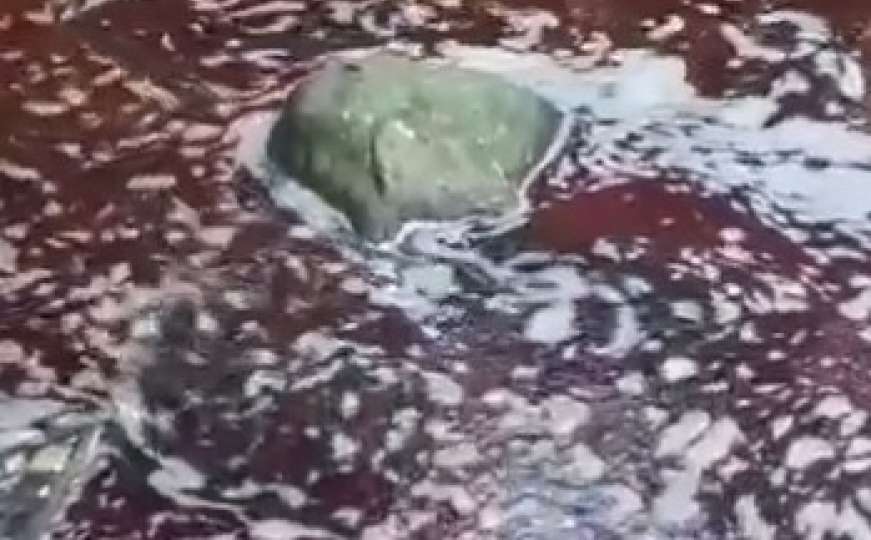 Prizor šokirao Sarajlije: Nahorevskim potokom teče kurbanska krv