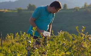 Srebreničko selo po mnogo čemu je posebno: Evo i zbog čega 