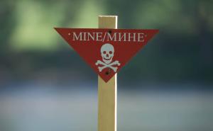 Preduzeće iz Bosne i Hercegovine prodaje minsko polje