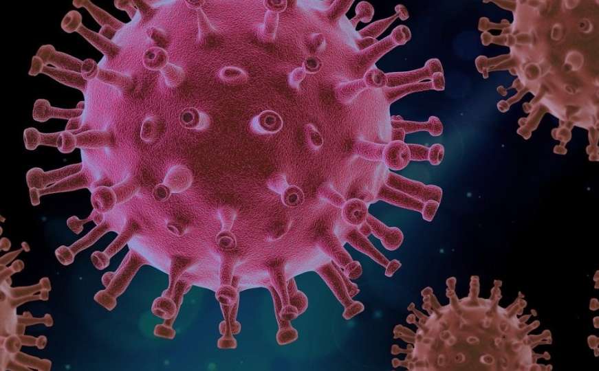 Koronavirus: Samo polovina oporavljenih razvije antitijela