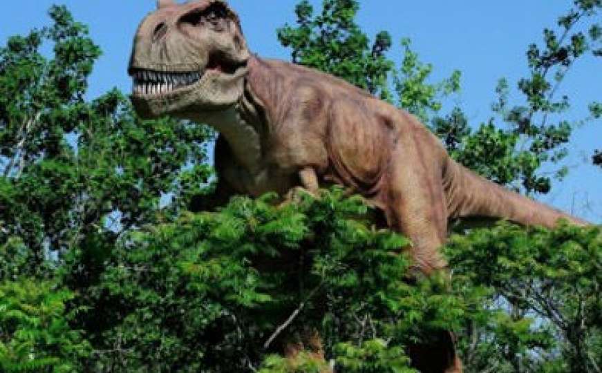 Važno otkriće: Na kosti dinosaura utvrdili rak kakav danas pogađa ljude