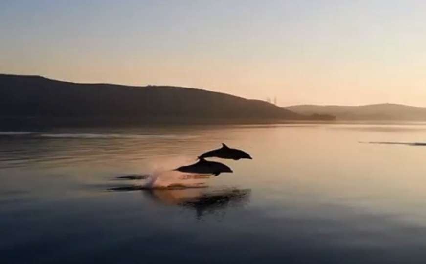 Izlazak sunca, igra delfina i pučina: Sve ljepote Jadranskog mora