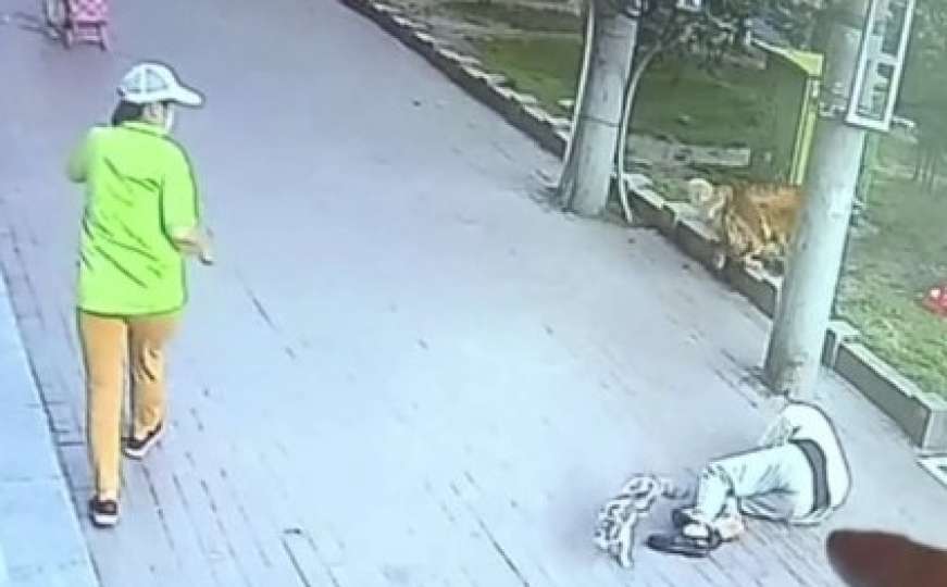 Bizaran snimak iz Kine: Mačka pala na glavu starcu i onesvijestila ga