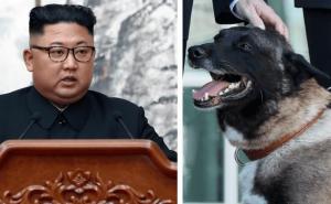S. Koreja naredila vlasnicima pasa da predaju ljubimce: Iskoristit će ih za hranu?