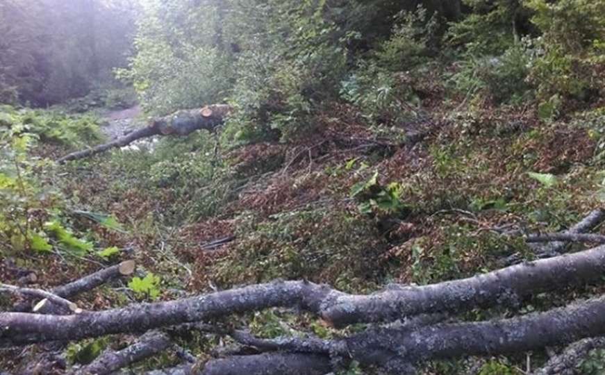 Inspekcija zaustavila sječu šume na vrelu Rakitnice