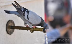 Danas sunčano: Objavljena prognoza do nedjelje - bit će i 38 stepeni?!