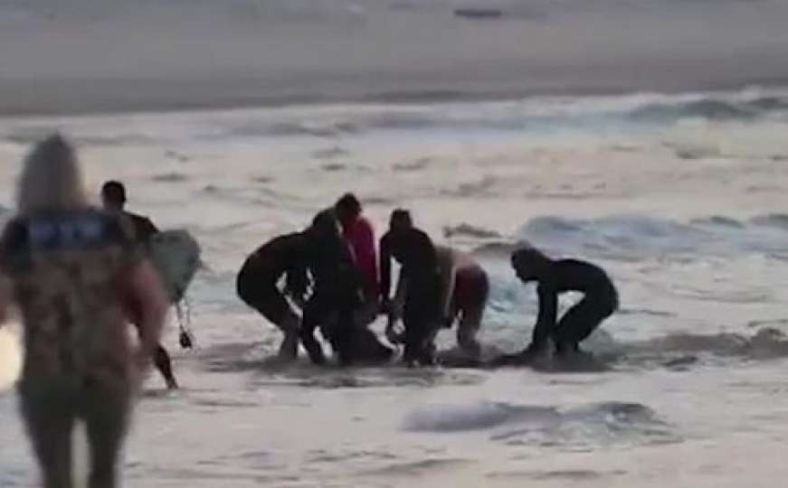 Drama u Australiji: Surfera napala ajkula, preminuo je na plaži