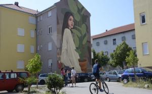 Prekrasni murali uljepšali mostarske zgrade i ulice