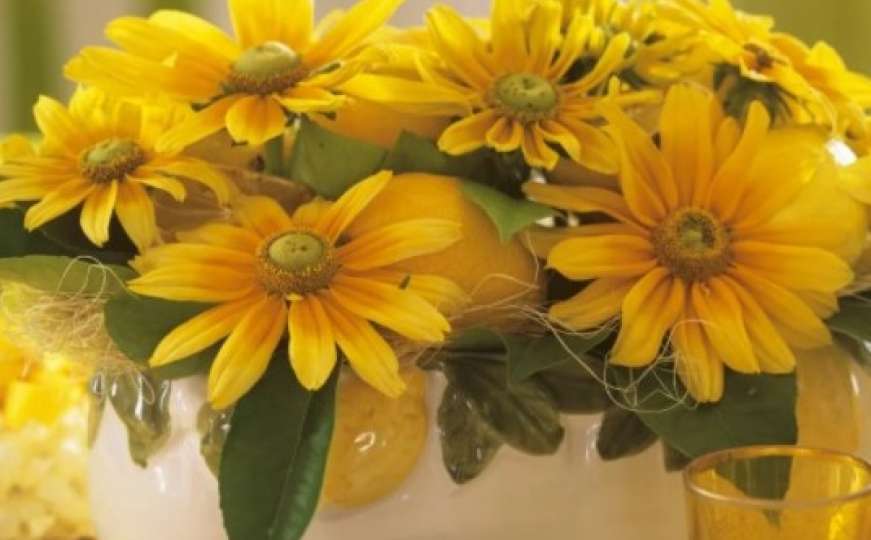 Jesen nije kraj: Uz ovih pet prekrasnih biljaka uljepšajte hladne dane