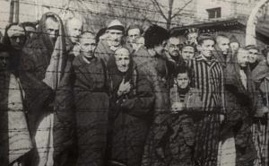 Njemačka izdvojila 496 miliona eura za preživjele Holokausta zbog korone
