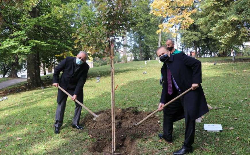 U povodu 20 godina BBI banka zasadit će više od  hiljadu stabala širom BiH