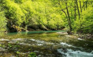 Podnesena žalba protiv BiH zbog planiranih hidroelektrana na Neretvi