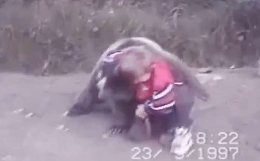 Snimak treninga Khabiba sa medvjedom ponovo viralan na društvenim mrežama