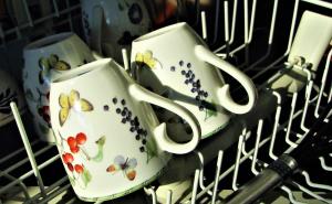 Rasprave o pranju suđa u mašini: Šta je zapravno ispravno?