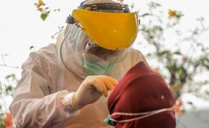 Postoji čak sedam različitih oblika blagog koronavirusa