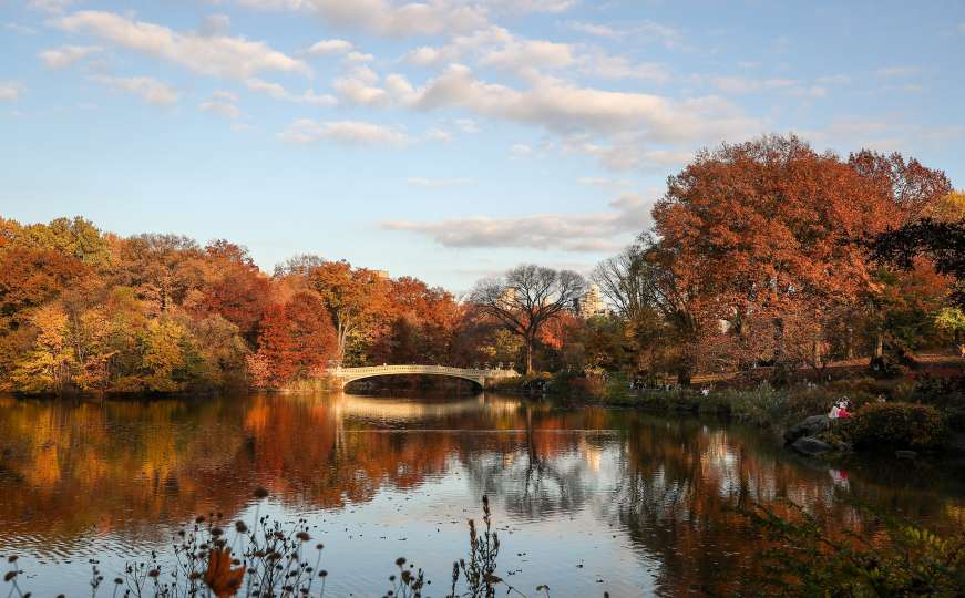 Jesen u srcu Manhattana: Pogledajte Central Park u živopisnim bojama 