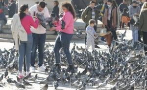 Vratilo se proljeće: Tokom dana pretežno sunčano, temperatura kao naručena