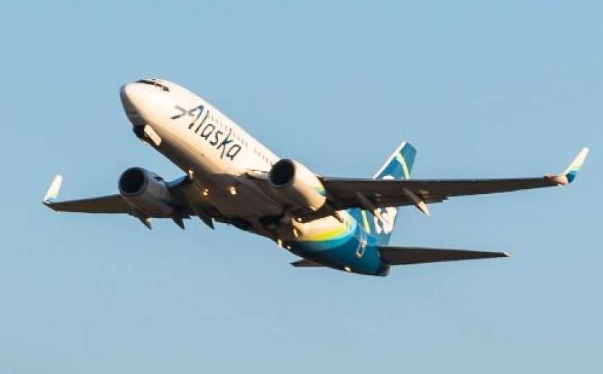Njeno mladunče je preživjelo: Boeing 737 usmrtio medvjedicu 