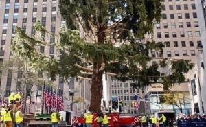 Božićno drvo u New Yorku ljudi porede s koronom, unutar njega su našli iznenađenje