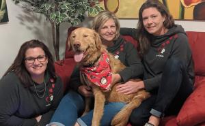 Izgubljeni retriver godinu živio sam u šumi, sada je ponovno sa vlasnicom