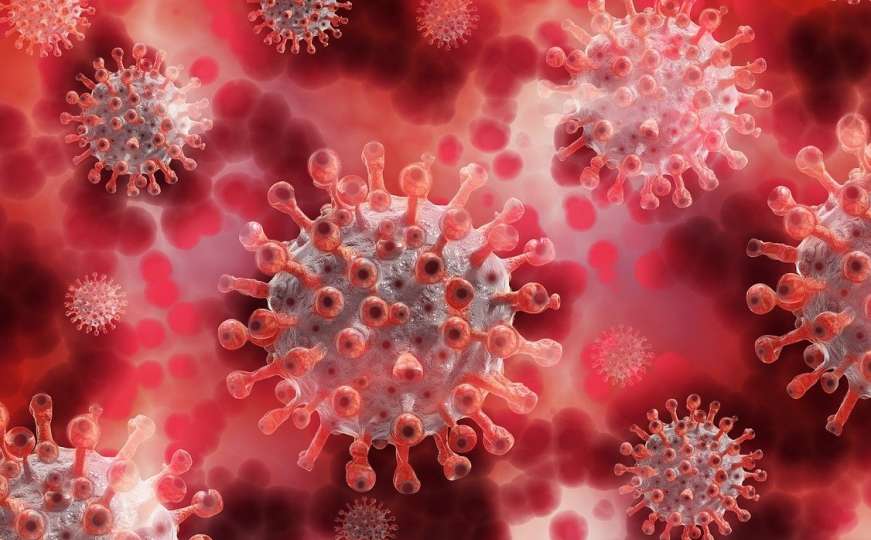 Otkriven lijek koji u roku od 24 sata sprječava širenje koronavirusa 