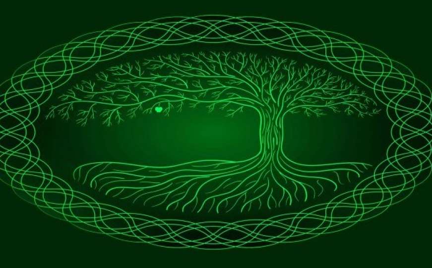 Keltski horoskop: Pronađite svoje drvo i saznajte šta govori o vama